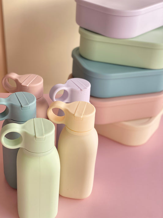 Lunch/School/Picnic Bundle 2.0