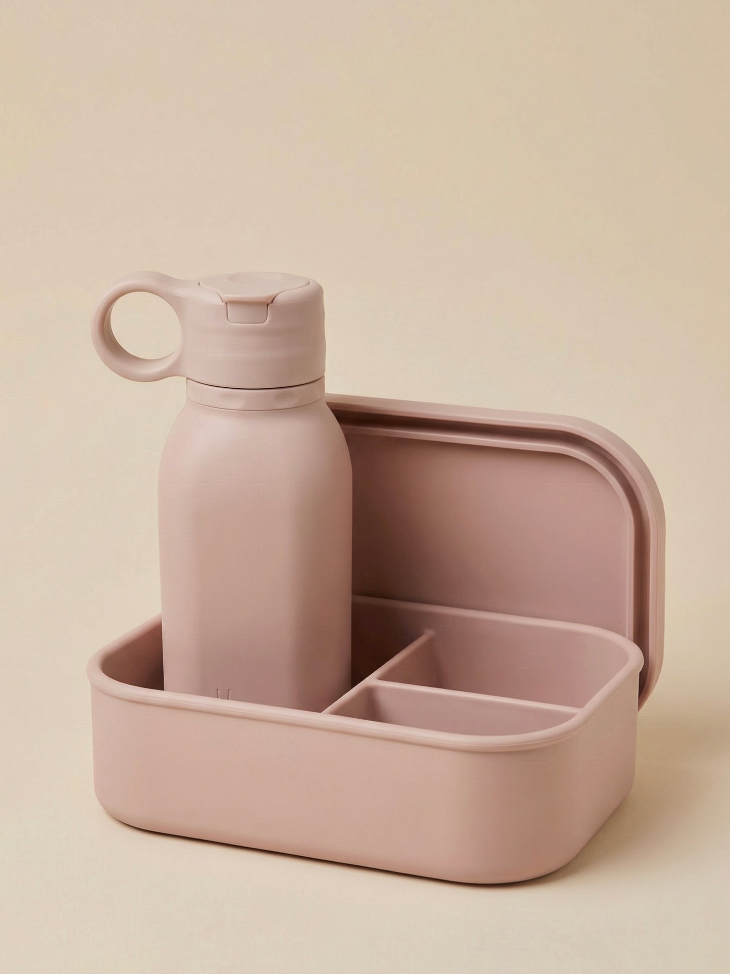 Lunch/School/Picnic Bundle 2.0